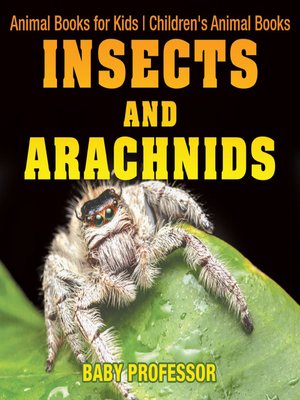 cover image of Insects and Arachnids